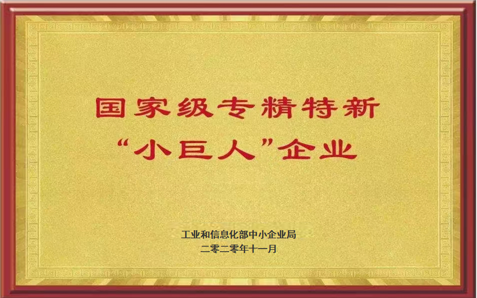 國(guó)家級(jí)專(zhuān)精特新“小巨人”企業(yè)